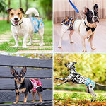 Qpets® Diaper for Dogs Female, 2 Pack Pet Use Soft Reusable Dog Diapers, 160ml Water Absorbption Comfort Doggy for Dogs & Puppy (L, Recommended Waist 19-27 inch) 2PCS