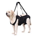 Qpets Dog Lift Harness for Aging and Injured Dogs with 22 in Body Support & Quick Release Buckle