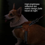 Qpets Reflective Dog Harness for Safe Night Walking with Dual D-Rings and Soft Padded Y-Shape Design