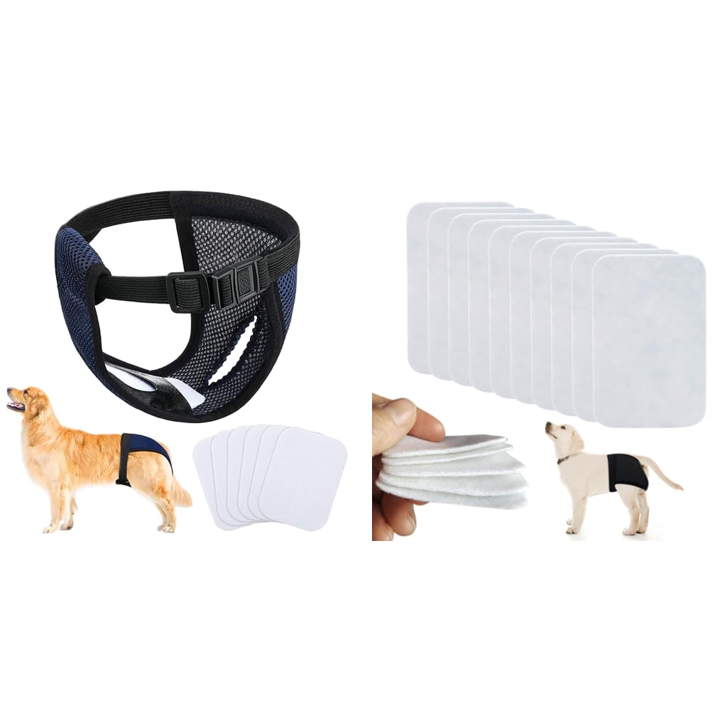 Qpets® Female Dog Diaper XL Combo with 3 Reusable Absorption Pads + 10 Replacement Cotton Pads, Breathable, Comfort Fit for Puppy, Labrador, Rottweiler, German Shepherd, Waist 16-21 Inch