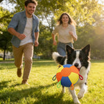Qpets Herding Ball for Dogs with Multiple Handles and Reinforced Double-Layer Construction