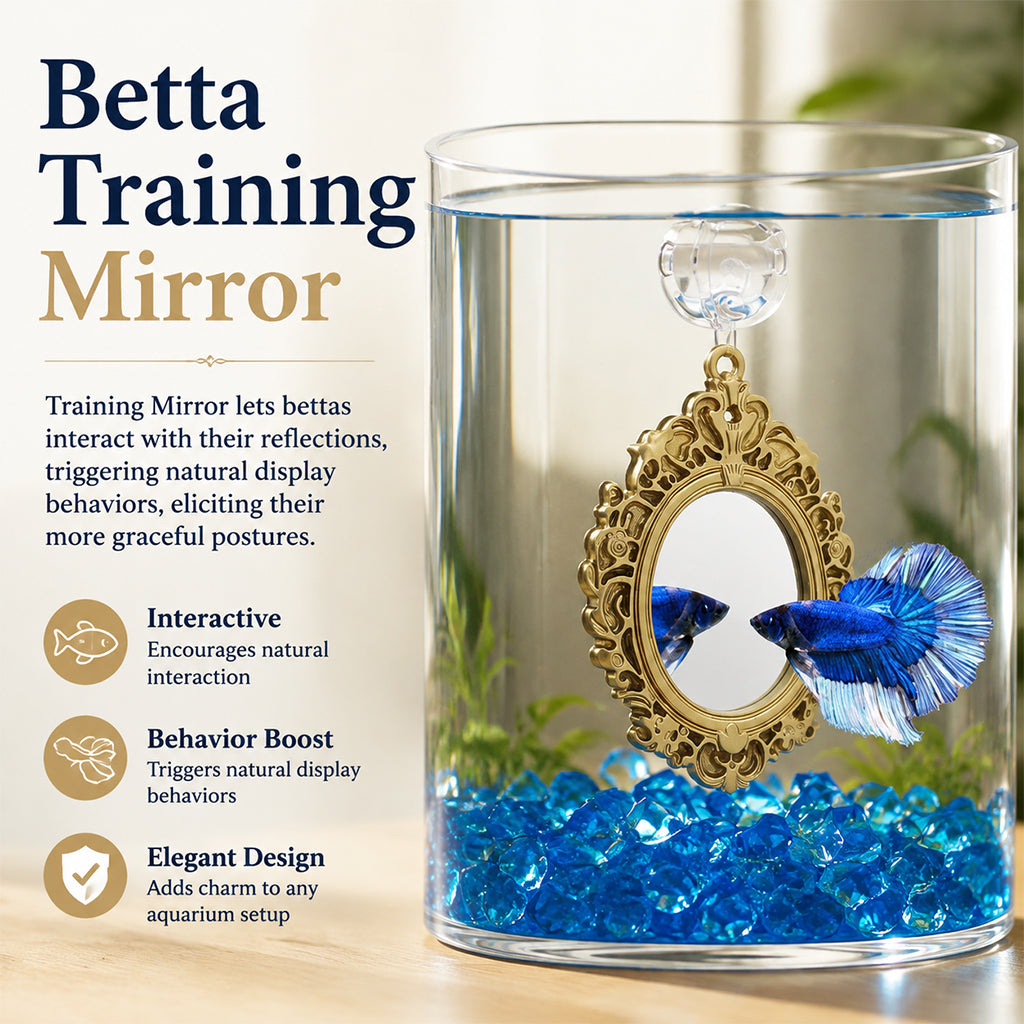 Qpets Betta Fish Floating Mirror Tank Decor with PVC Frame, Glass Mirror and Tool-Free Setup