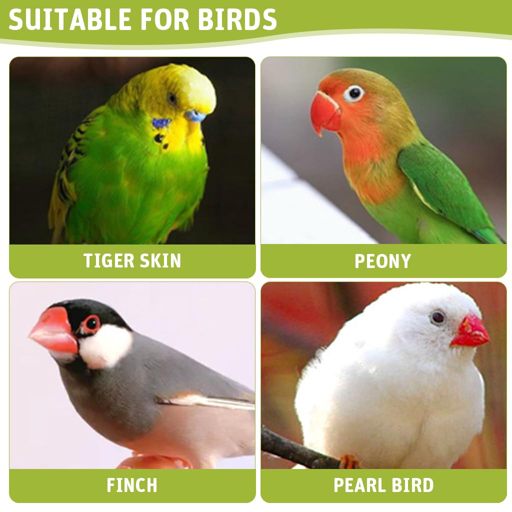 Qpets Parrot Mirror Toy for Cage with Food Box 18.5x9x14cm featuring Clip-on Design | Cloud Shape Interactive Play for Parakeet and Cockatiel