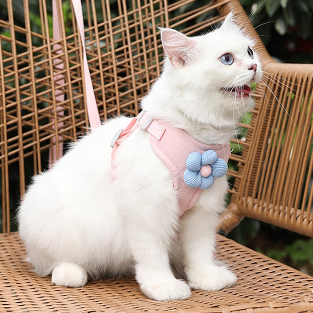 Qpets Cat Vest Harness with 1.2m Leash featuring Quick Release Buckle and Breathable Fabric for Small Cats | Adjustable Fit 31–42cm Chest