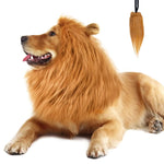 Qpets® Lion Costume Set for Dogs - Adjustable Mane Headpiece & Tail with Ears Halloween Dress Up Party Accessories for Medium Large Breed Dogs Christmas Festival Photo Props Pet Costume