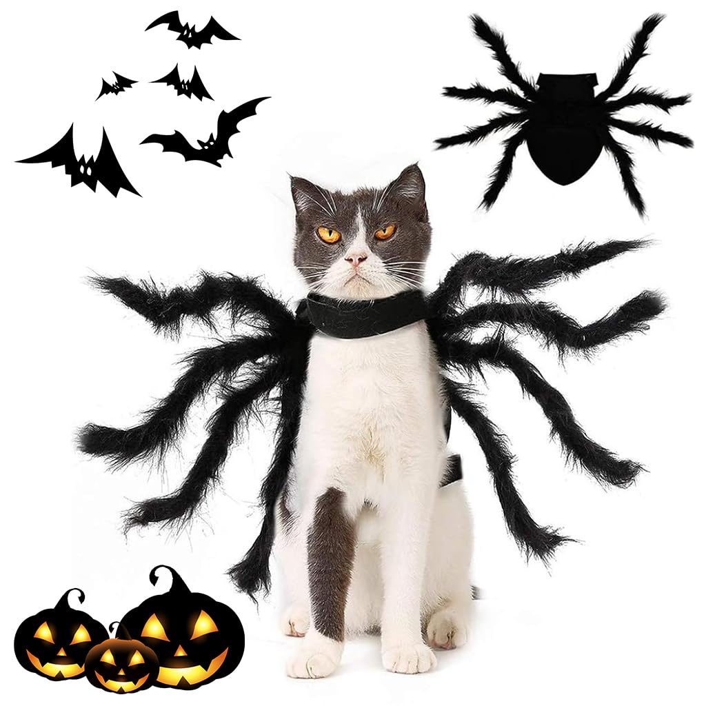 Qpets Halloween Dog Costume for Small Pets featuring 8-Claw Black Spider Design | Adjustable Fit