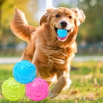 Qpets Dog Ball Toys for Fetch Play with 2.5 in Squeaky Design and TPR Material | 3 Pack