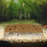 Qpets Aquarium Tunnel for Fish Tanks featuring Porous Hiding Caves and Platforms | Safe Habitat for Bettas and Shrimps