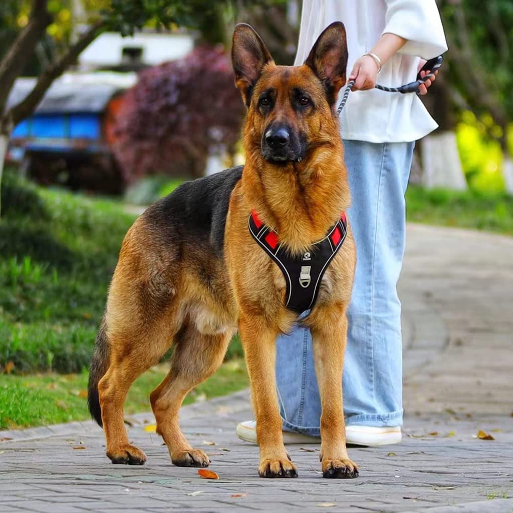 No Pull Dog Harness with Safety Reflective Strip Quick Release Buckle Adjustable Size Easy Control Handle for Small Medium Large Dog(Red,L, Recommended Weight: 14-22.5kg)