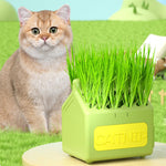 Qpets Cat Grass Planting Box for Catnip Featuring Cartoon Milk Box Design 12x9x12cm 2pcs