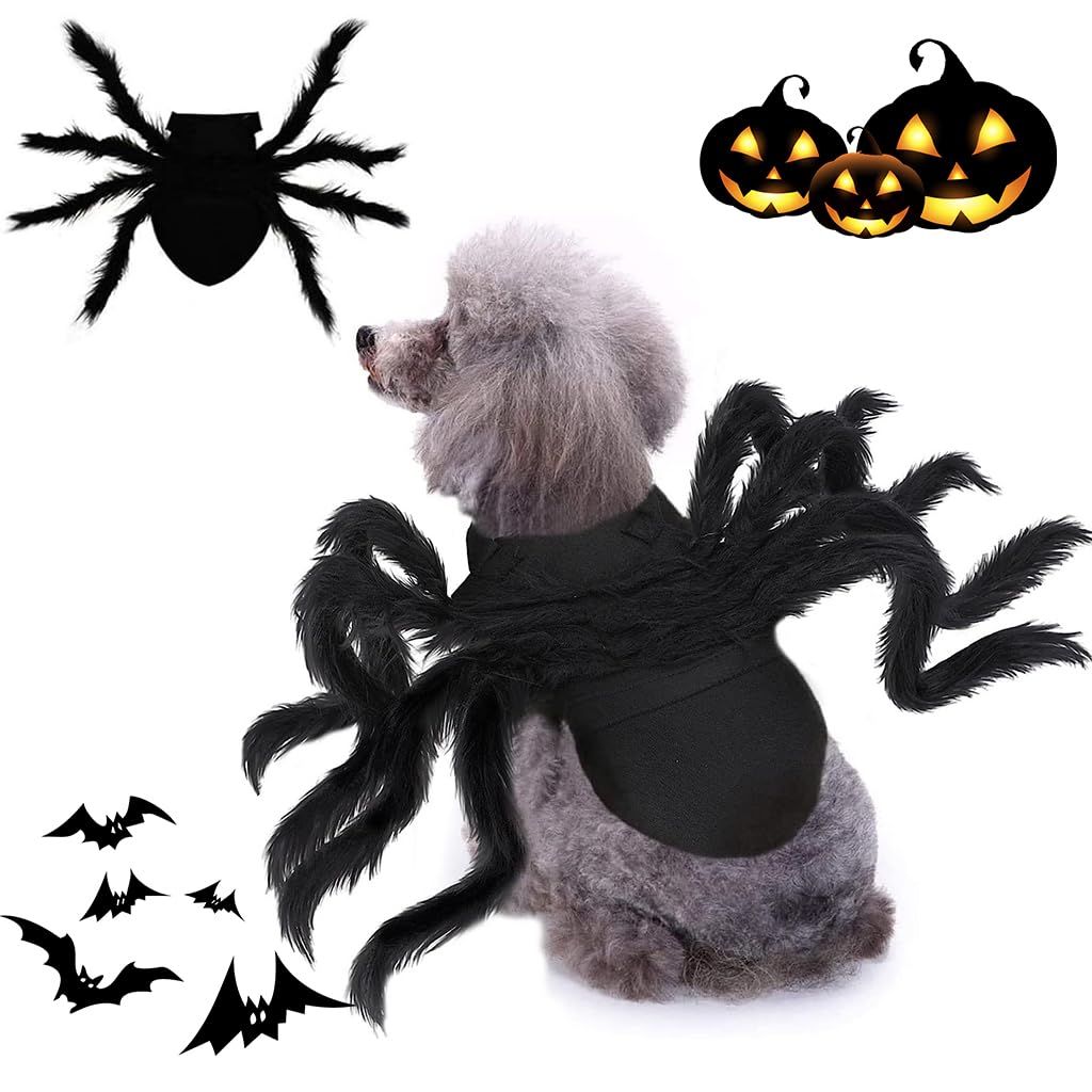 Qpets Halloween Dog Costume for Small Pets featuring Adjustable Fit 29.9–39.8cm Neck | Fun Spider Design