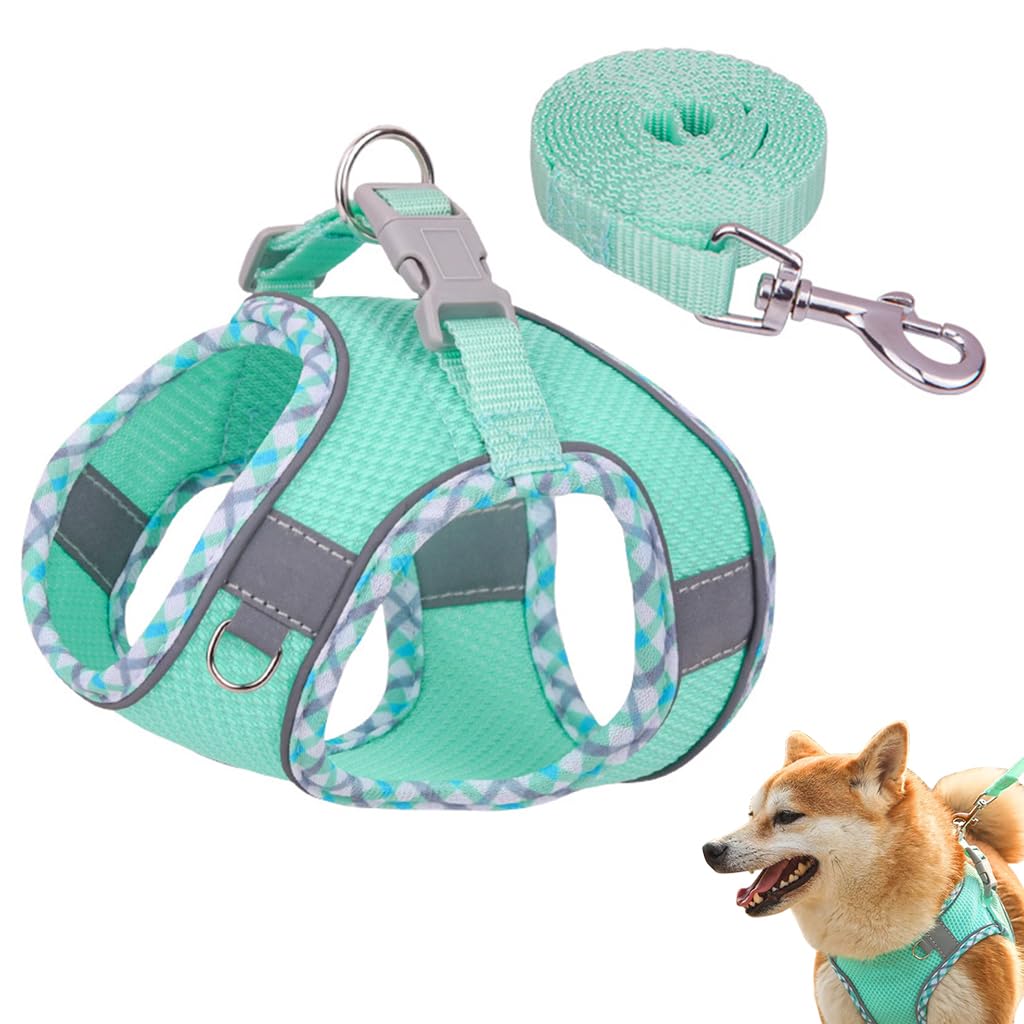 Qpets Dog Harness and Leash for Small Dogs with 4.9ft Leash featuring Dual D-Rings | Breathable Fabric