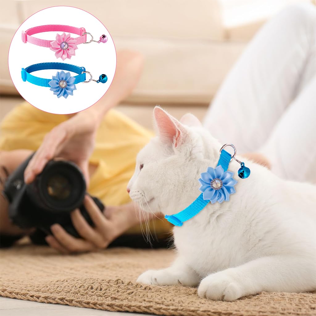 Qpets Cat Collar for Kittens and Small Dogs featuring D Ring and Bell | Adjustable 7.5–12.6 in Set