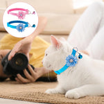 Qpets Cat Collar for Kittens and Small Dogs featuring D Ring and Bell | Adjustable 7.5–12.6 in Set