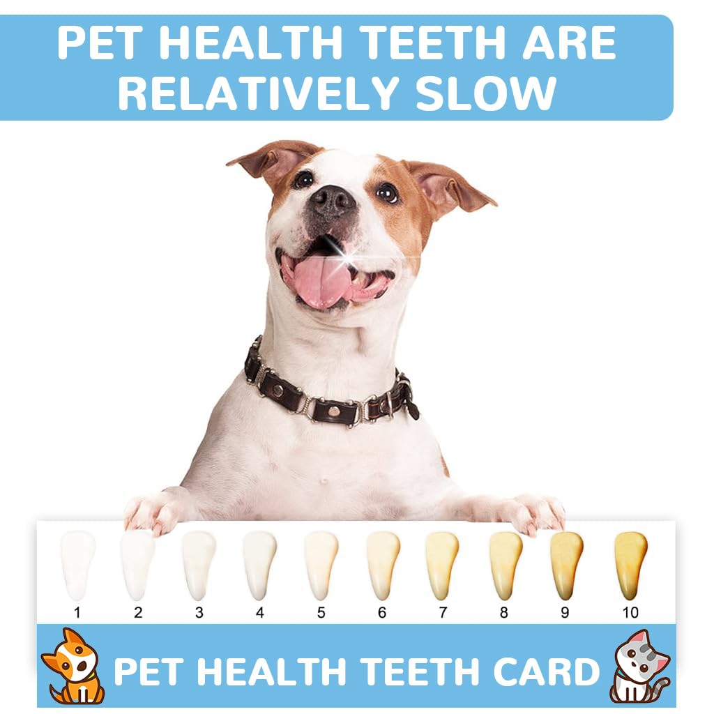 Qpets Dog Toothbrush Kit for Small Dogs with 5 Brushes featuring Silicone Finger Brush | Gentle Oral Care