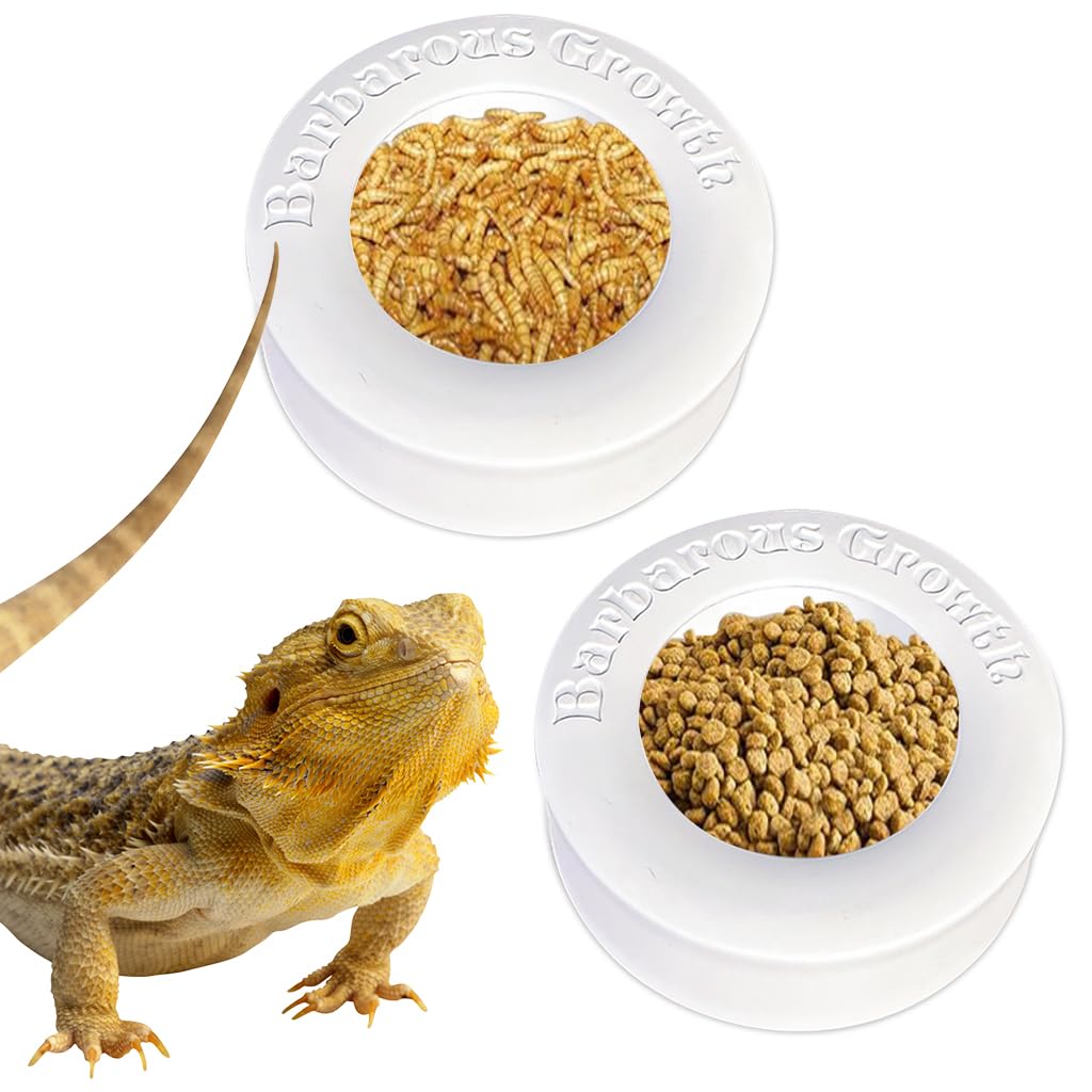 Qpets Reptile Feeding Bowl for Terrarium Feeding with Escape‑Proof Cap 6.7 cm Diameter | PP Material for Leopard Gecko and Bearded Dragon