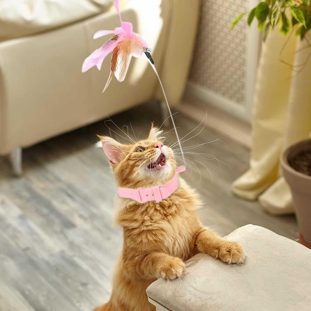 Qpets Cat Toys for Indoor Play featuring 23cm Steel Wire Feather Collar | 3PCS Adjustable Set