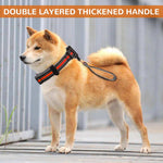 Qpets Dog Collar for Medium and Large Breeds with 1.5 m Leash featuring Retractable Pull Handle | Reflective Safety Design