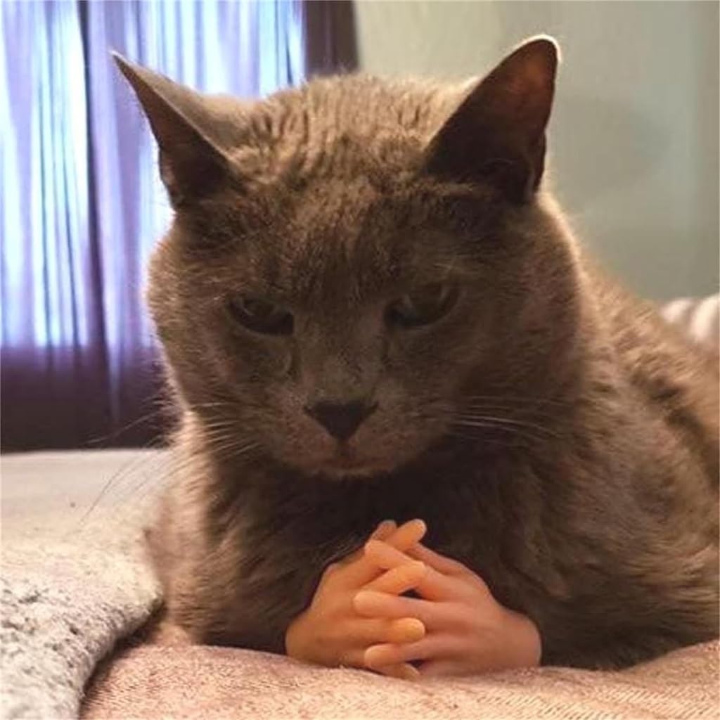 Qpets Mini Hands for Cats with 7 Unique Styles featuring Soft Elastic TPR Material | Fun Gift for Cat Owners