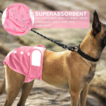 Qpets Female Dog Diapers for Heat Cycles with Reflective Strip and Elastic Waist 12.5–18.5 in