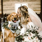 Qpets Dog Bandana Scarf for Wedding and Engagement Photos featuring 70×35×35 cm Fabric | Cat Friendly