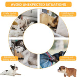 Qpets Mesh Dog Muzzle for Bulldogs with Adjustable Quick Release Buckle | Breathable Summer Design