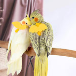 Qpets Bird Harness for Parrots with 2 m Elastic Leash and Quick Release Buckle | Adjustable Soft Belt