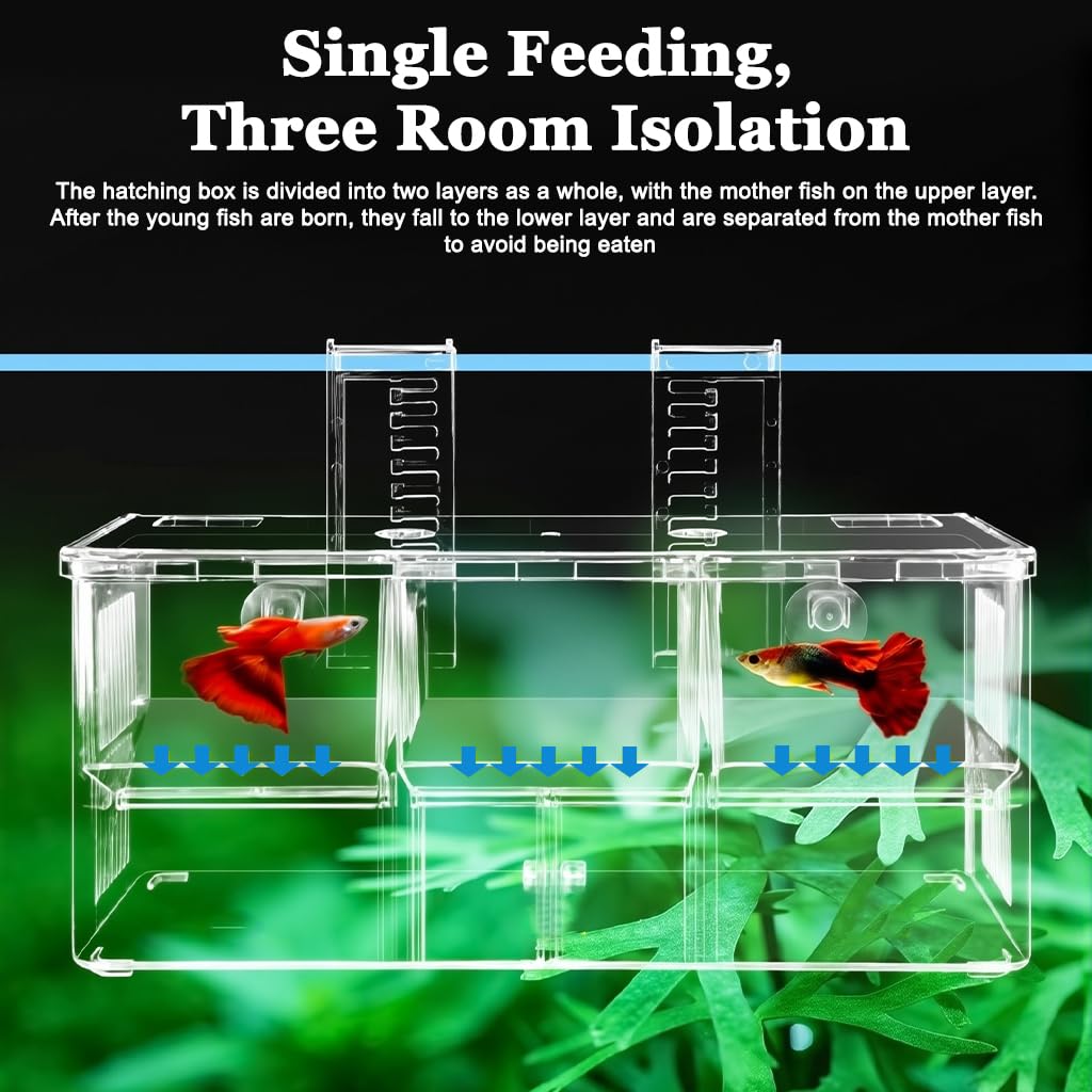 Qpets Aquarium Fish Breeding Box for Fry and Isolation with Double Layer Design 17.5x9x11cm | Clear Acrylic Floating Hatchery