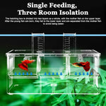 Qpets Aquarium Fish Breeding Box for Fry and Isolation with Double Layer Design 17.5x9x11cm | Clear Acrylic Floating Hatchery
