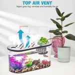 Qpets Betta Fish Tank for Home and Office Decor featuring Hydroponic Pot and Air Lid 32cmX16cm