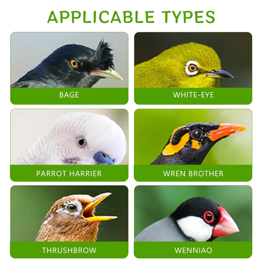 Qpets Bird Bathing Box for Cage with Screw Fixed Design 14x14x13 cm | for Finches and Parakeets