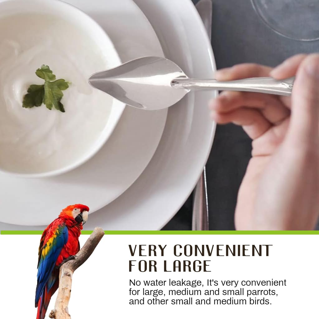 Qpets Hand Feeding Spoons for Baby Birds with 4.72 in Narrow Tip Stainless Steel Design | 2 Spoon Set