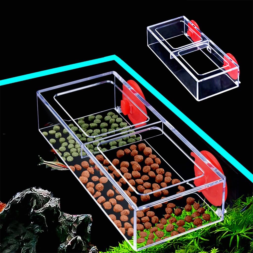 Qpets Floating Fish Feeder for Aquariums with Dual Open Design and Clear Acrylic Frame