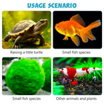 Qpets Betta Fish Tank for Home and Office Decor featuring Hydroponic Pot and Air Lid 32cmX16cm