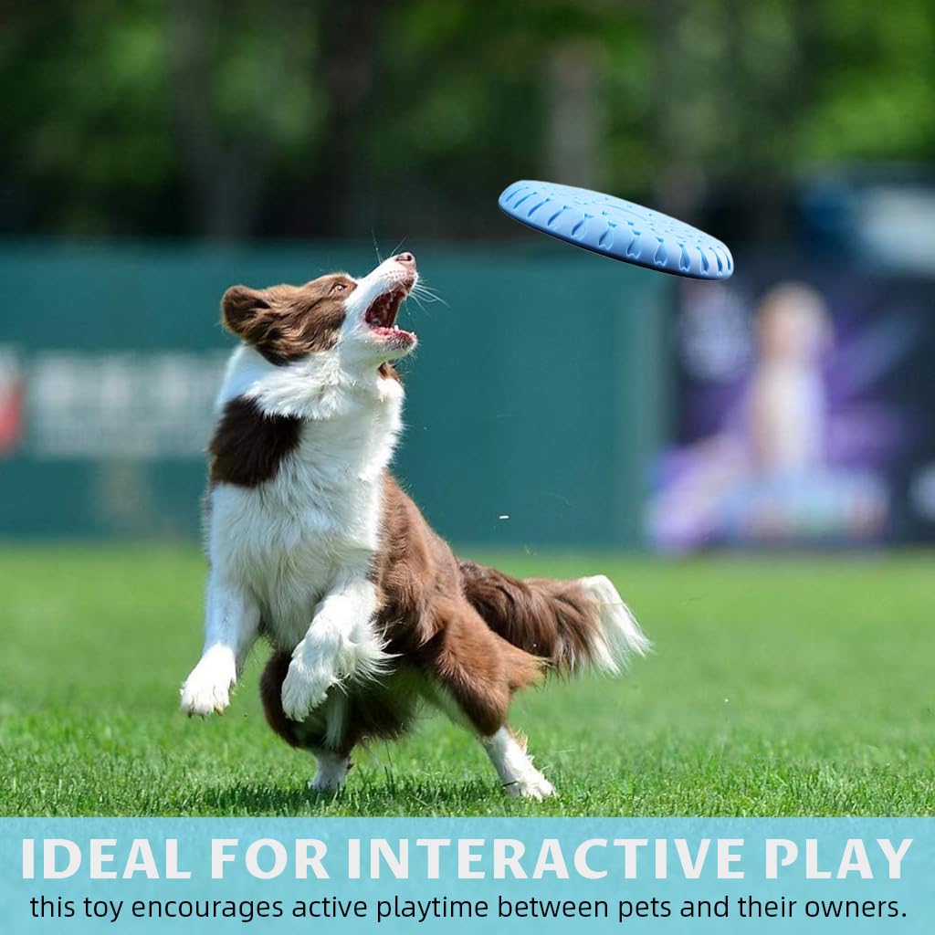 Qpets Flying Disc Toys for Dogs with Aerodynamic Design and 11 in TPR Rubber Build | Floats on Water