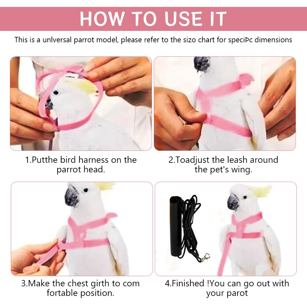 Qpets Parrot Bird Harness for Outdoor Flight with 2m Elastic Leash and Angel Wings | Pink M