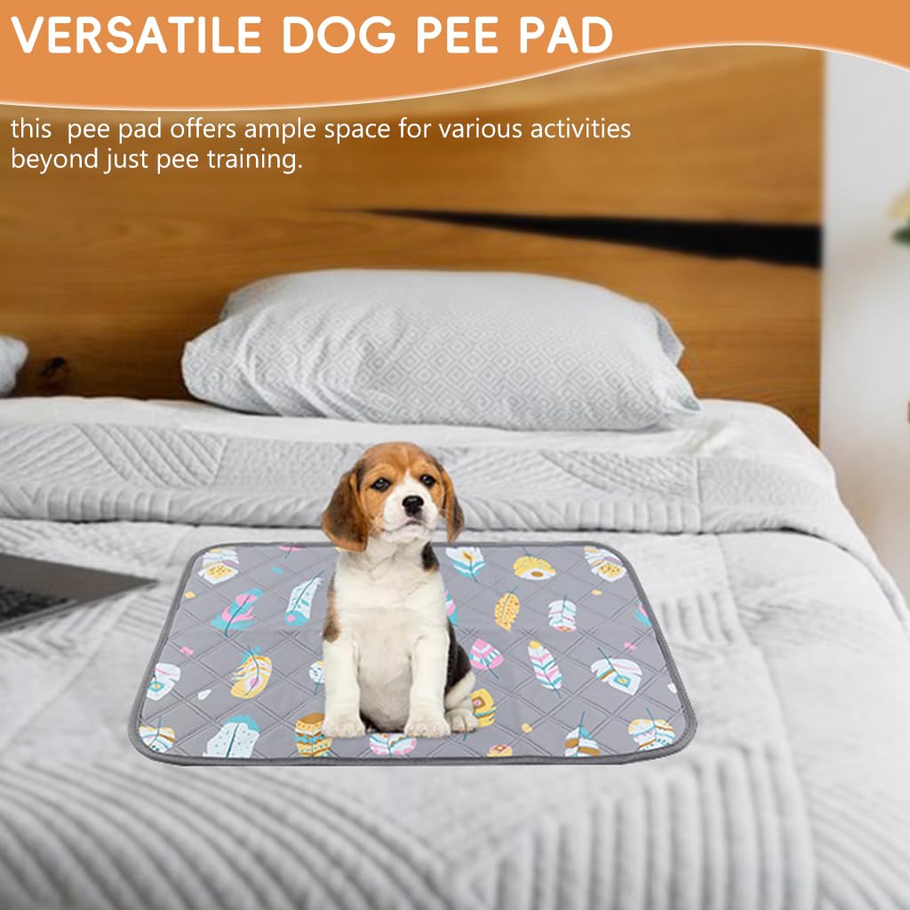Qpets Pee Pads for Dogs 60x45CM with Multi Layer Leak Proof Design and Non Slip Bottom