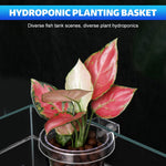 Qpets Hydroponic Plant Pot for Fish Tanks with Screw-Fixed Design and Transparent PC Material