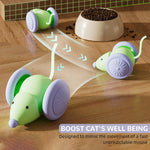 Qpets Auto Run Cat Mouse Toy with Motion Activation and Fluorescent Tails for Indoor Cats