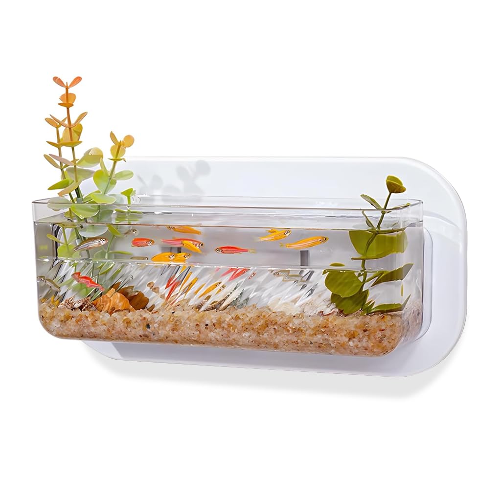 Qpets Wall Mounted Hydroponic Planter for Indoor Decor with No Drill Detachable Design 25x14.5x9cm Clear Acrylic | Home Wall Aquarium Display
