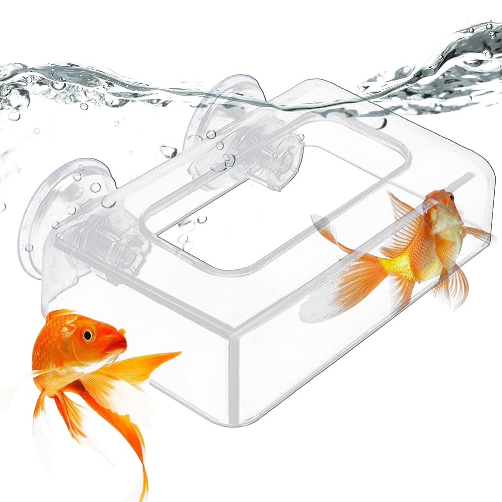 Qpets Floating Fish Feeding Ring for Aquariums with Suction Cup and Clear Acrylic Frame | Reduces Waste