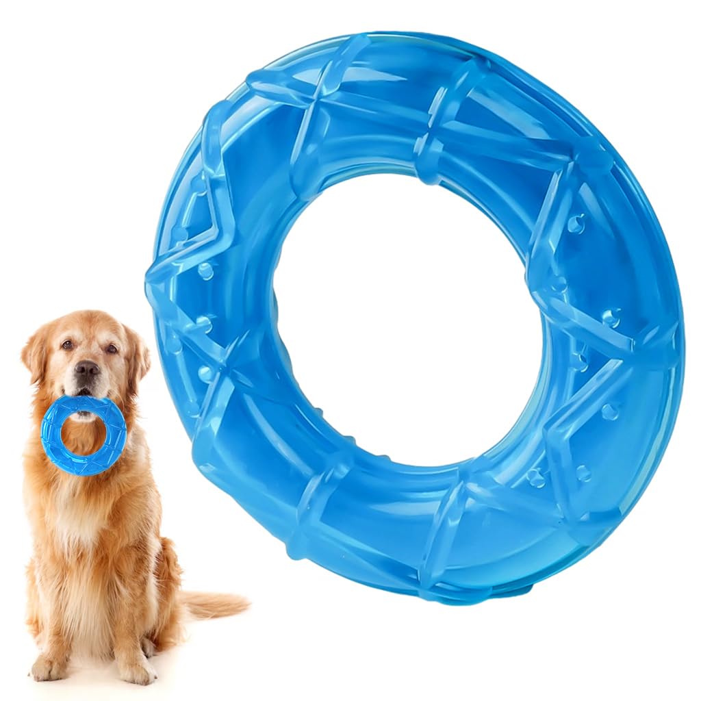 Qpets Dog Chew Toy for Summer Cooling with 5 in Circular Water Ring | Food Grade TPR