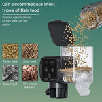 Qpets Auto Fish Feeder for Home and Travel with 250 ml Capacity | Adjustable Silent Feeding