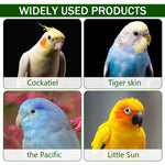 Qpets Bird Feeder for Parrot Training with Sliding Lid and Stainless Steel Box | Portable Outdoor Food Storage