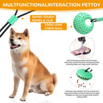 Qpets Dog Chew Toy for Self Play with Strong Suction Cup and TPR Tear Resistant Ball | Promotes Dental Health