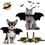 Qpets Bat Wing Costume for Cat and Dog featuring 50cm Wings with Hoop and Loop Closure | Black Felt Halloween Pet Outfit