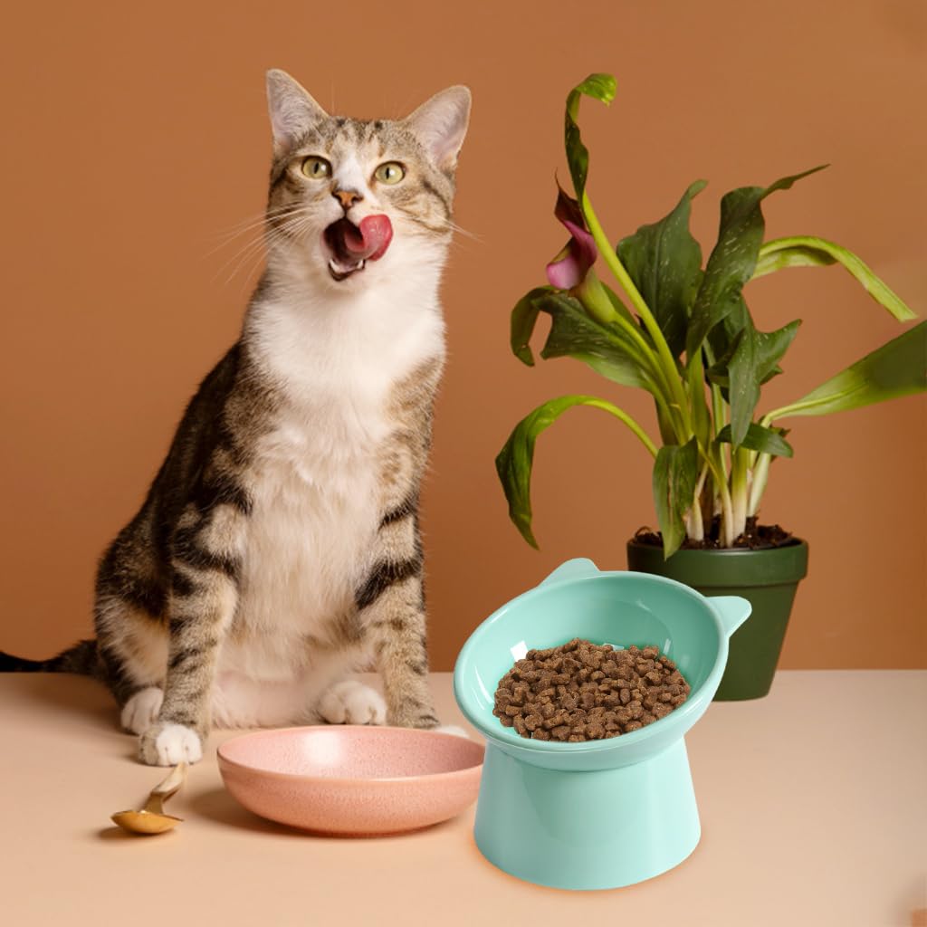 Cat Feeding Bowl Elevated Feeding Bowl for Cat Round Cat Food Bowl Scientific 15-Degree Tilted Cat Food Bowl, Prevent Tipping Over Durable Plastic Cat Feeding Bowl (5.31inch Diameter)