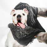 Qpets Dog Bath Towel for Quick Drying Pets with Pockets featuring Microfiber Chenille 80×35cm