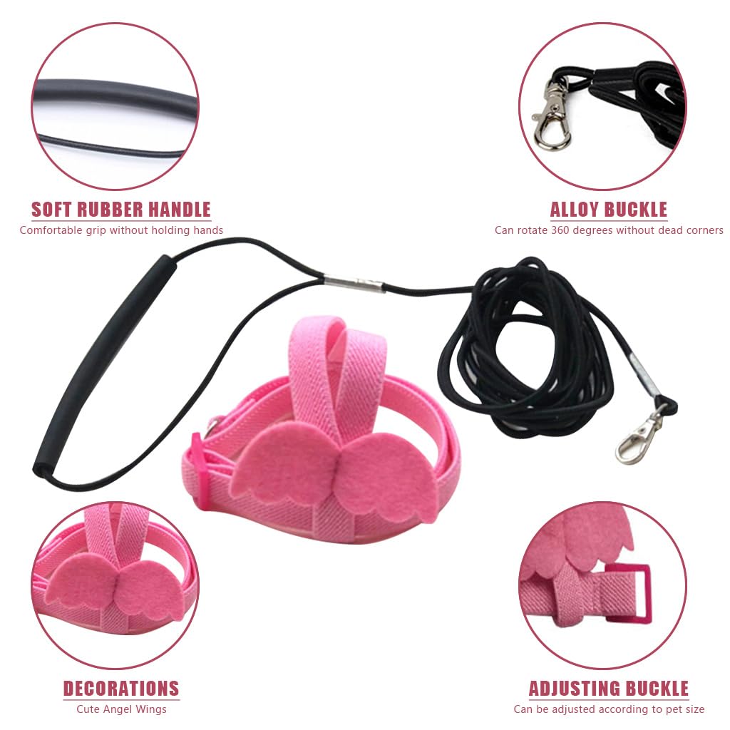 Qpets Pet Parrot Harness for Outdoor Flying with 2 m Elastic Leash and Quick Release Strap | Lightweight Adjustable Design