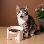 Qpets Raised Cat Bowl for Comfortable Eating with 14cm Tilted Design | Reduces Neck & Joint Strain